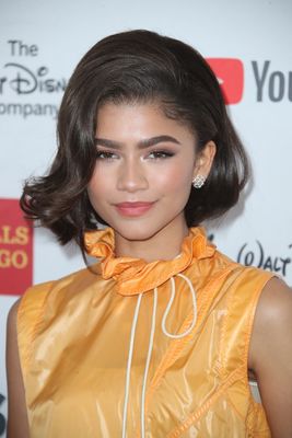 Zendaya puzzle 2834640