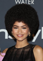 Zendaya Longsleeve T-shirt #2834927