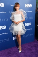 Zendaya longsleeve t-shirt #3861784