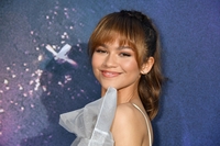 Zendaya Sweatshirt #3862040
