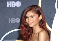 Zendaya Longsleeve T-shirt #3883761