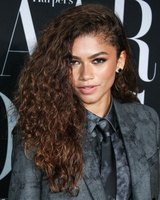 Zendaya Longsleeve T-shirt #3883763