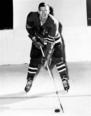 Al Arbour posters