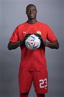 Alfred Gomis t-shirt #4157388