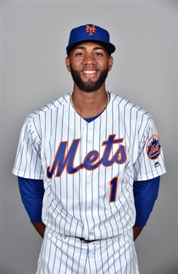 Amed Rosario canvas poster