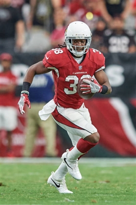 Andre Ellington posters