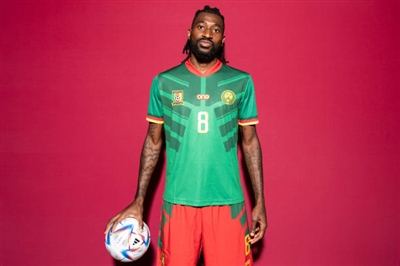 Andre-Frank Zambo Anguissa poster