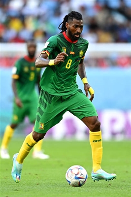 Andre-Frank Zambo Anguissa poster