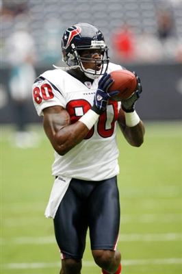 Andre Johnson canvas poster