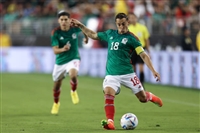 Andres Guardado Sweatshirt #4158529