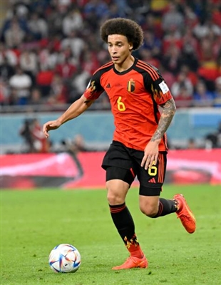 Axel Witsel wooden framed poster