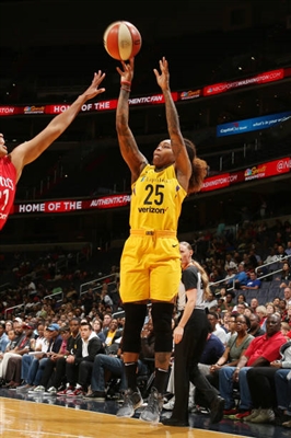 Cappie Pondexter posters