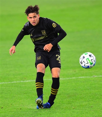 Christian Torres posters