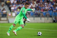 Danny Vukovic hoodie #4156623