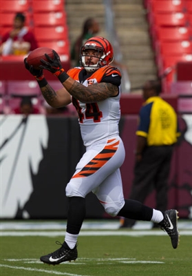 Darrin Laufasa posters