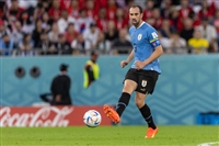 Diego Godin t-shirt #4161206