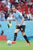 Diego Godin Sweatshirt #4161209
