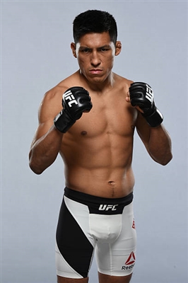 Enrique Barzola posters