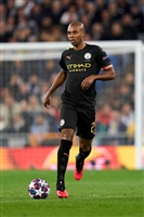 Fernandinho Sweatshirt #3996316