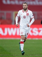 Grzegorz Krychowiak hoodie #3996917