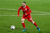 Grzegorz Krychowiak hoodie #3996919