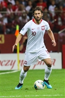 Grzegorz Krychowiak hoodie #3996921