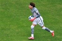 Guillermo Ochoa t-shirt #4097609