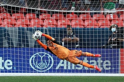 Guillermo Ochoa posters