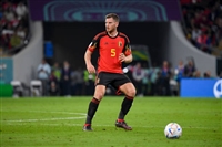 Jan Vertonghen t-shirt #4159910