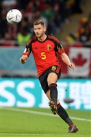 Jan Vertonghen hoodie #4159912