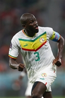 Kalidou Koulibaly longsleeve t-shirt #4157404