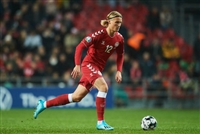 Kasper Dolberg t-shirt #3999711