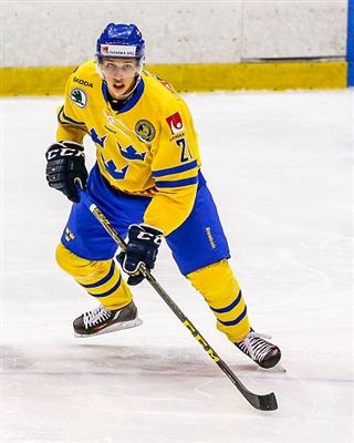 Lukas Vejdemo posters