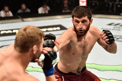Magomed Ankalaev posters