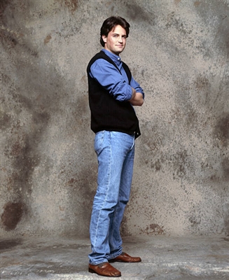 Matthew Perry canvas poster