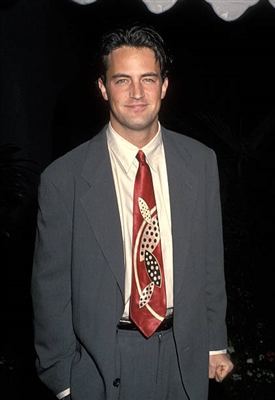 Matthew Perry canvas poster