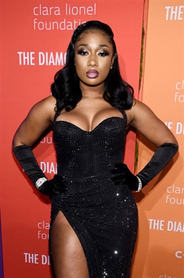 Megan Thee Stallion hoodie