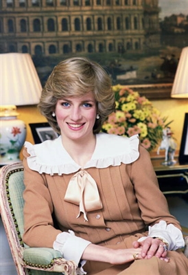 Princess Diana canvas poster