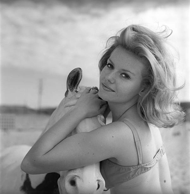 Sharon Farrell poster
