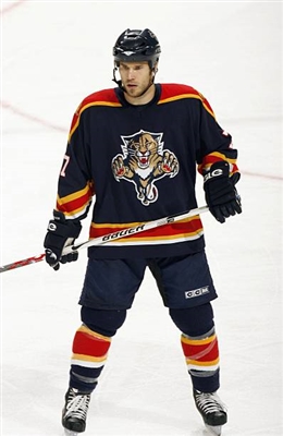 Steve Montador posters