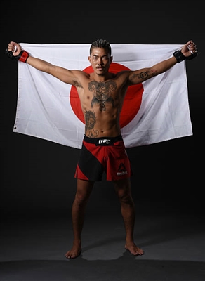 Teruto Ishihara posters