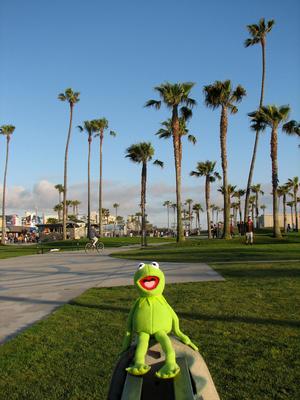 the Frog Kermit posters