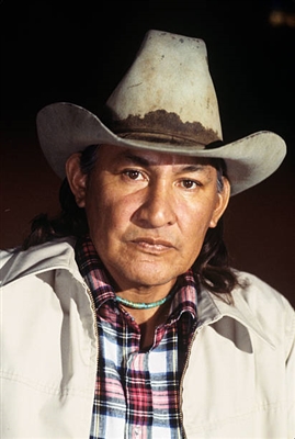 Will Sampson poster