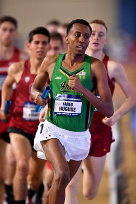 Yared Nuguse posters